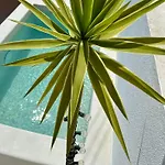 Holiday home Palmeirinha Sintra