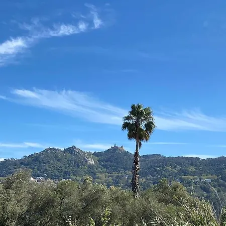 Сasa de vacaciones Palmeirinha Sintra